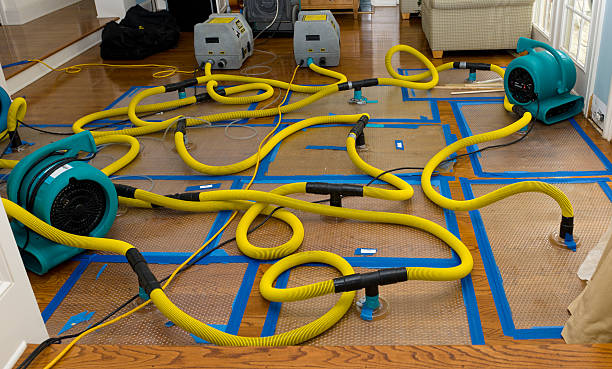 Professional Flood Damage Restoration technician working in Hereford, CO